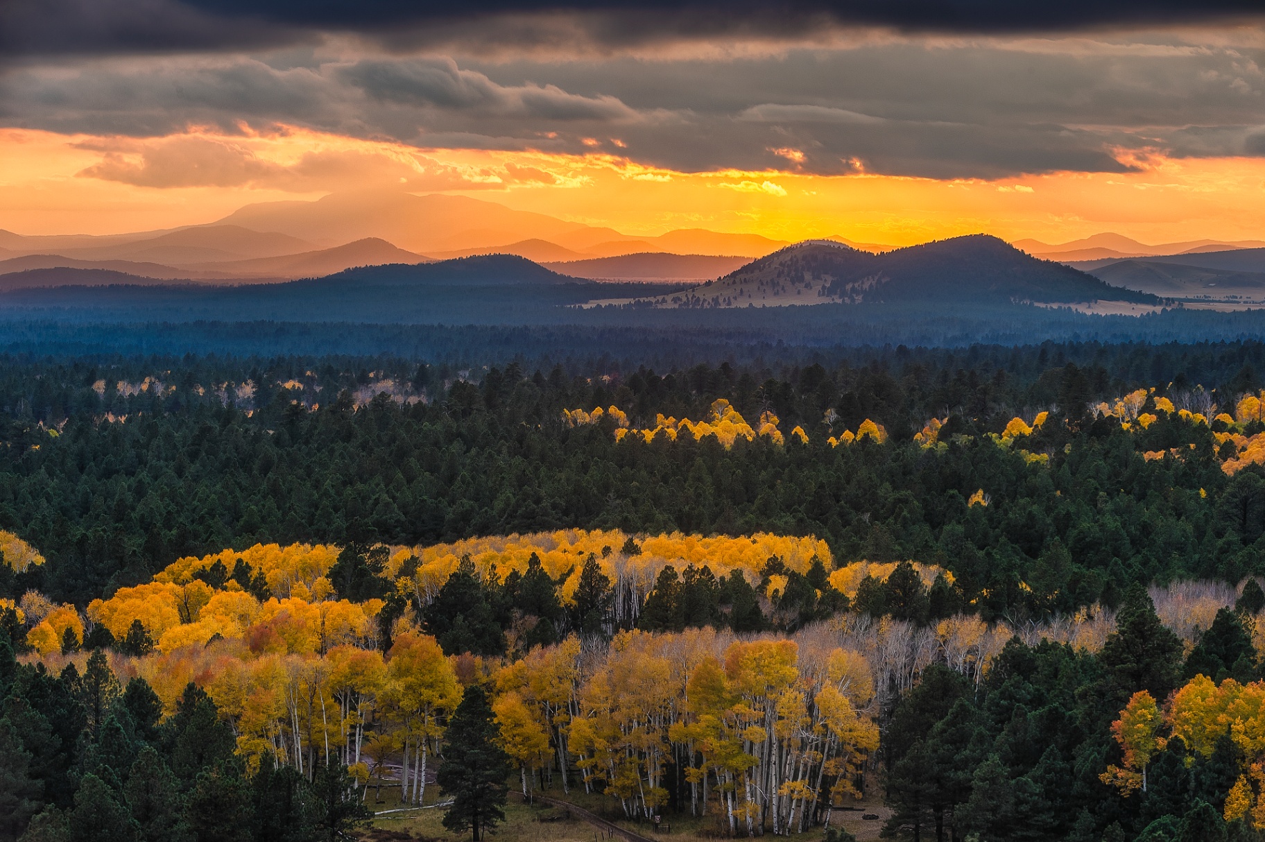 Sunset over the San Francisco Peaks and aspen forests of Northern Arizona